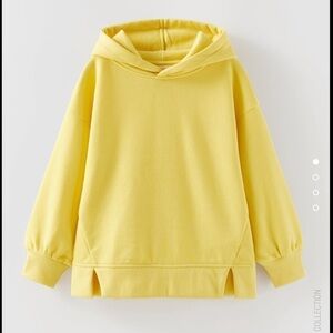 Zara Basic Hooded Sweatshirt